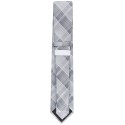 Men's Ombre Plaid Tie