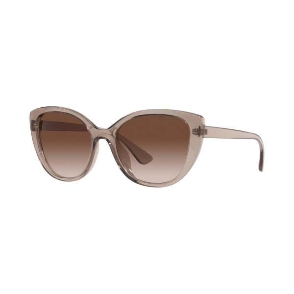 Chic Radiance Sunglasses for Women