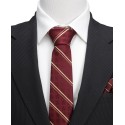 Men's Striped Silk Tie