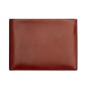 Leather Pass & Removable Card