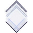 Men's Combination Blue Patterned Handkerchiefs