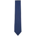 Men's Print Tie